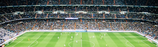 世界杯球迷看台热烈助威场景 - 各色国旗与欢呼人群